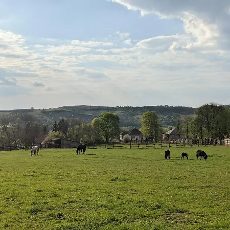 ゲストハウス Magyar Route 66 *