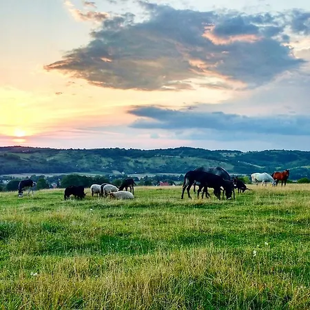 Vendégház Magyar Route 66 Szilvásvárad
