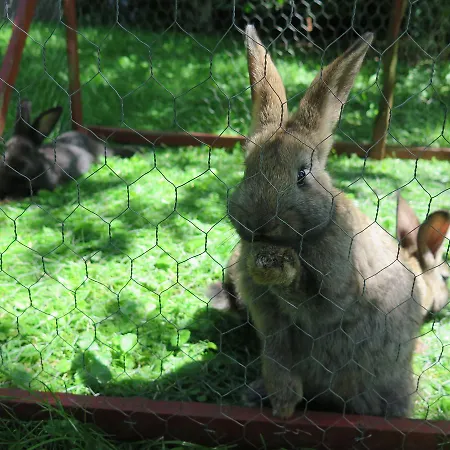 Magyar Route 66 ゲストハウス